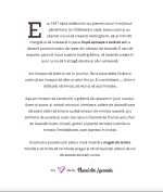 SPRING LAVENDER TENDER GIFT - imagine 9